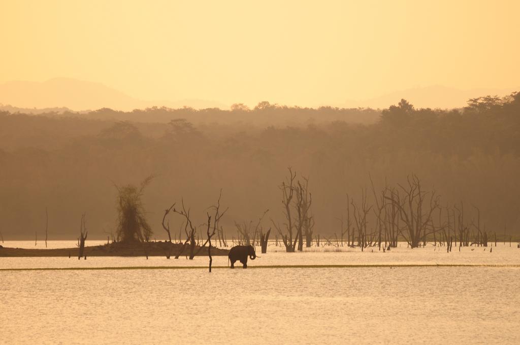Evolve Back Kabini Begūr Buitenkant foto