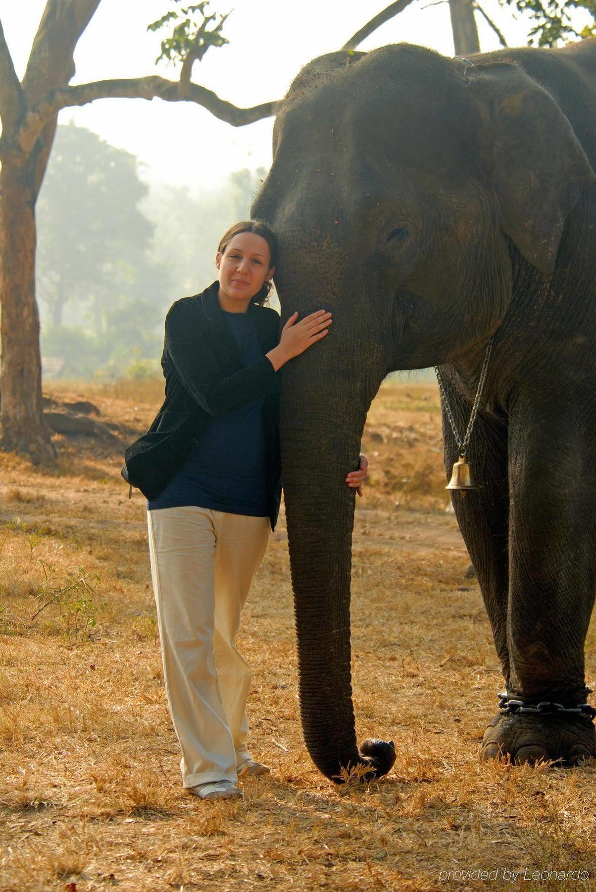 Evolve Back Kabini Begūr Buitenkant foto